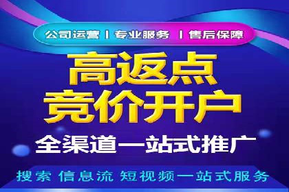 SEM推广实战：案例解析与策略探讨